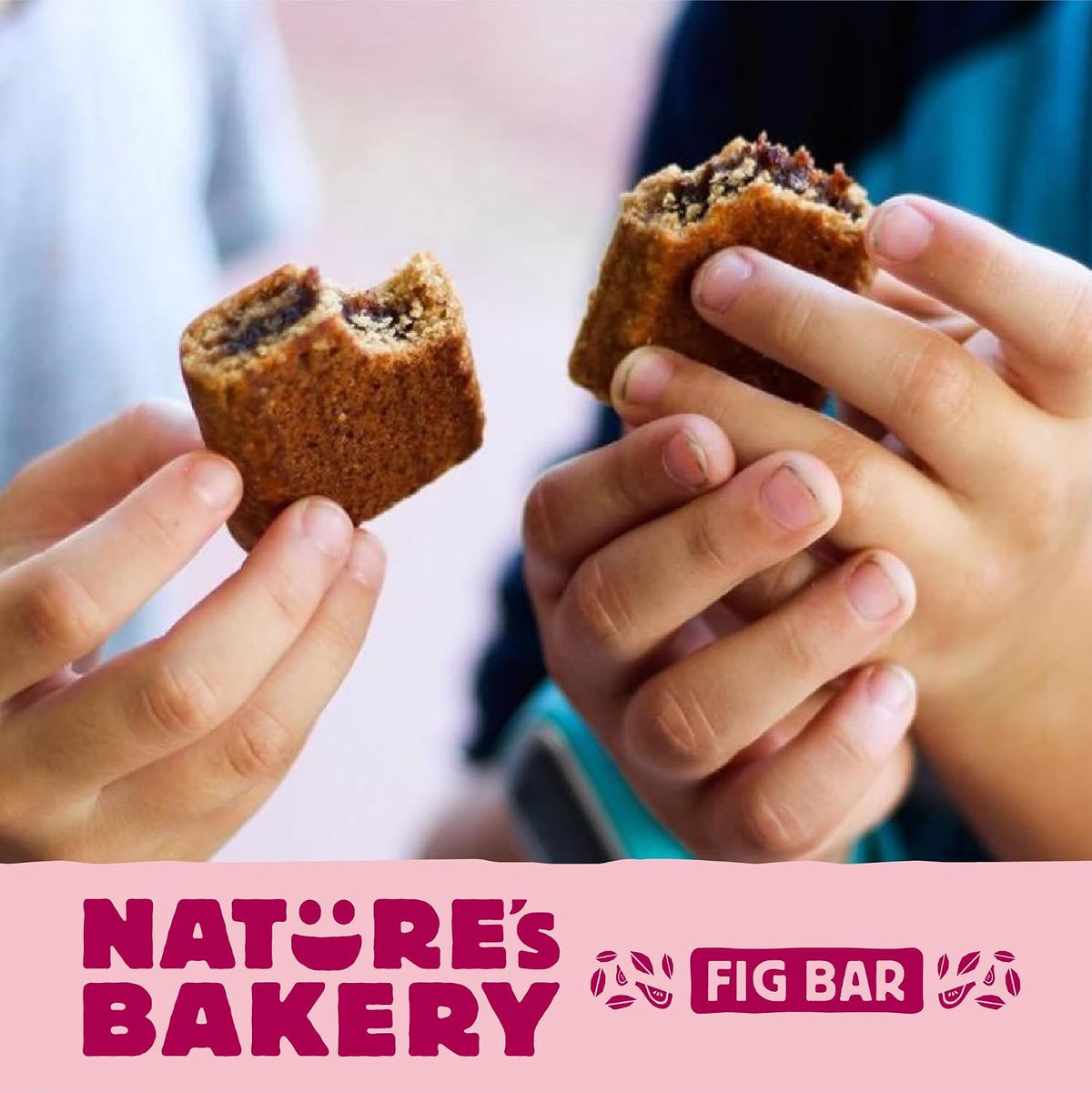 Nature's Bakery Raspberry Fig Bars, Real Fruit, Nut Free, Soft Baked Snack Bars, 12 Pack