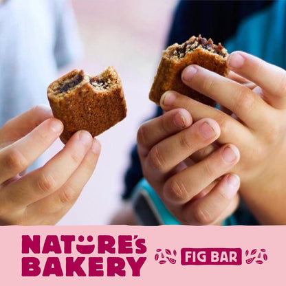 Nature's Bakery Raspberry Fig Bars, Real Fruit, Nut Free, Soft Baked Snack Bars, 12 Pack